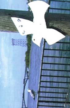 Film still from work by HARP artist Mark Street.