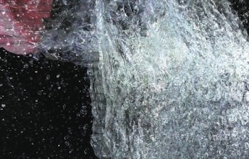 Still from video by Beyond/In WNY artists, virocode