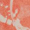 Joel Brenden - <em>Completely Speculative</em>