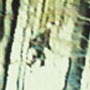 Michelle Hines - <em>Within the Contest of No Contest</em>