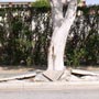 Ruben Ochoa - <em>Clastic Rupture</em>
