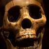 Donovan Barrow, Kevin Yates, Brandon Vickerd - <em>Tales To Astonish</em>